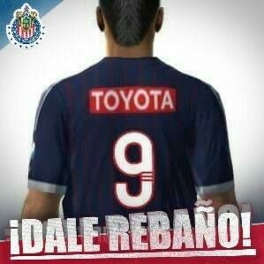 Meet your Posher, Rolando